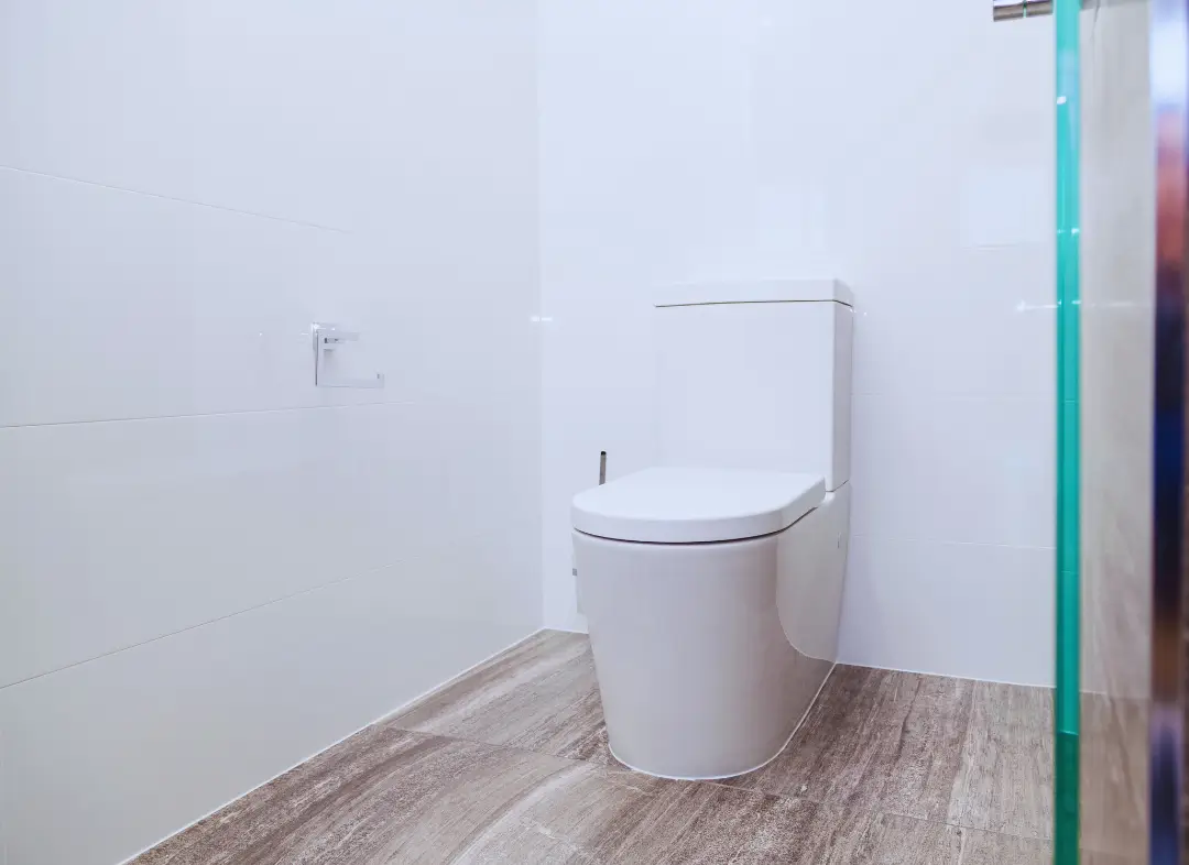 Remplacement de wc Mazé-Milon